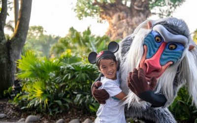 The ultimate guide to a dream Disney holiday in 2024